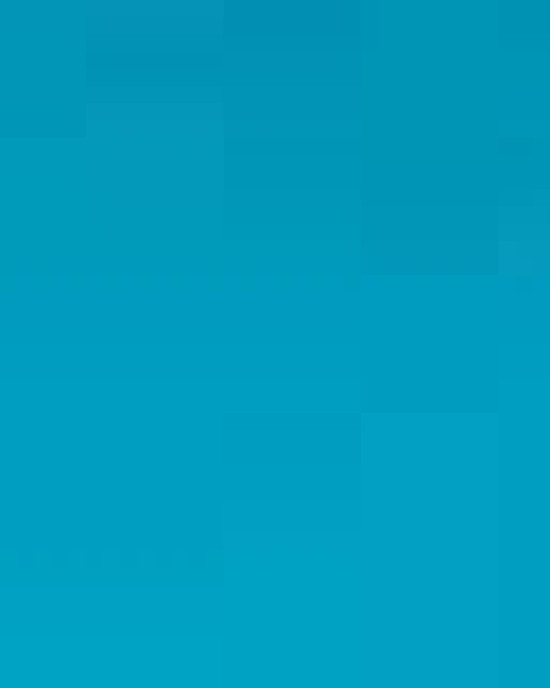 Bio-Washed Classic Dad Hat