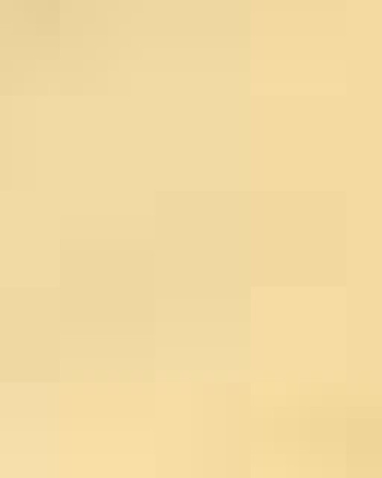 Bio-Washed Classic Dad Hat