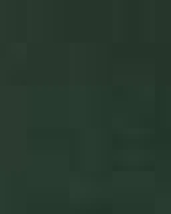 Bio-Washed Classic Dad Hat