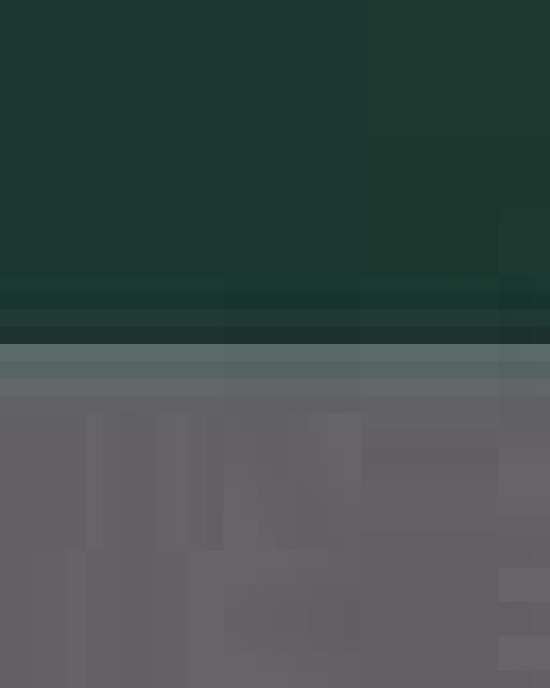 Women's Market Snag Protect Mesh Colorblock Quarter-Zip Pullover