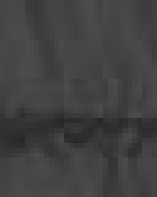 Men's Prevail Packable Puffer Vest