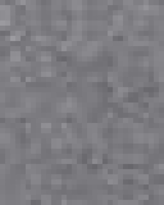 Infant Baby Rib Bodysuit