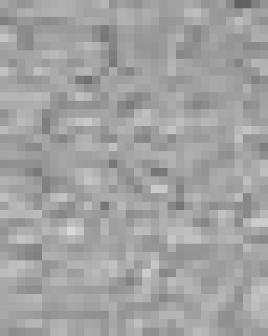 Youth DryBlend® T-Shirt