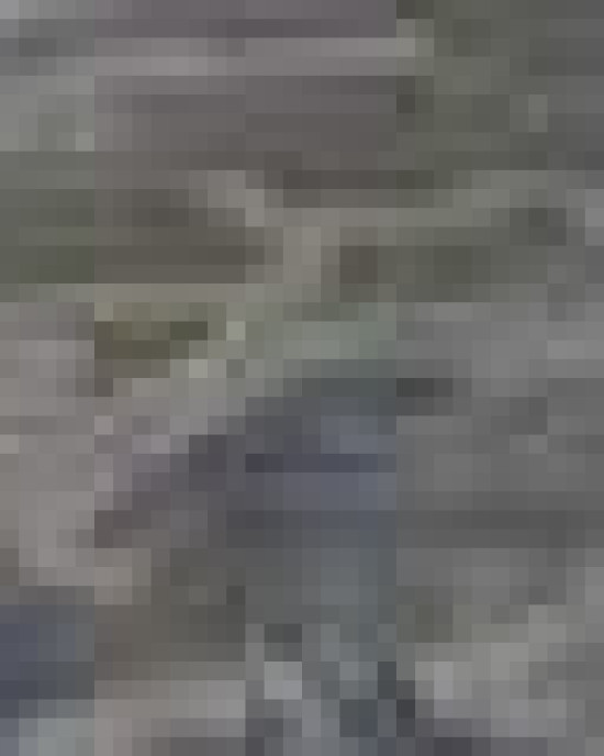 Infant Fine Jersey Tee