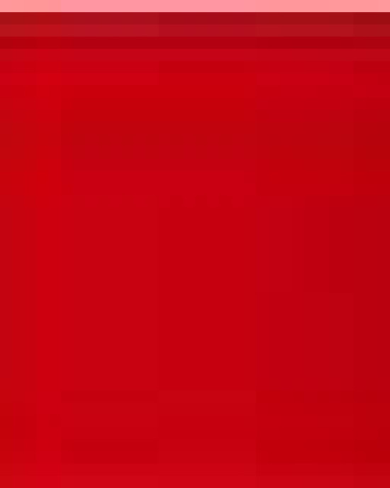 Toddler Pullover Fleece Hoodie