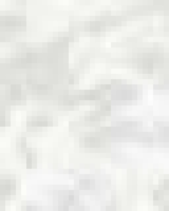 Infant Fine Jersey Bodysuit