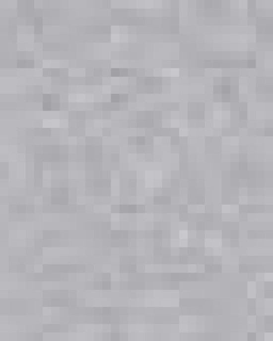 Toddler Cotton Jersey Tee