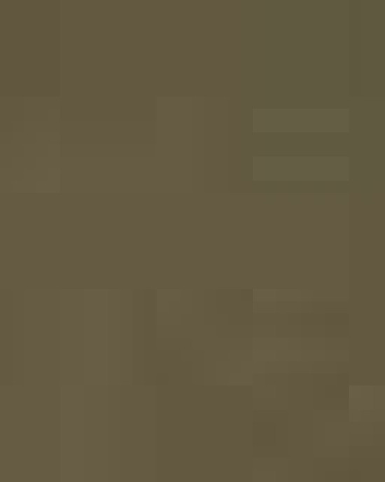 Toddler Cotton Jersey Tee