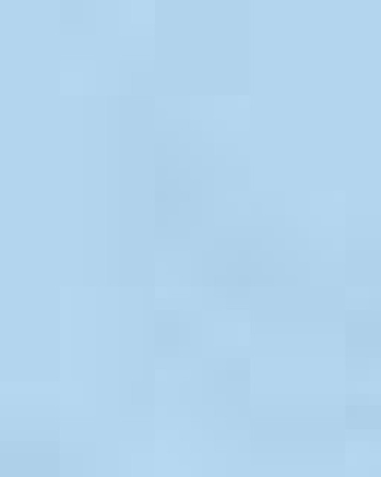 Infant Premium Jersey Bib