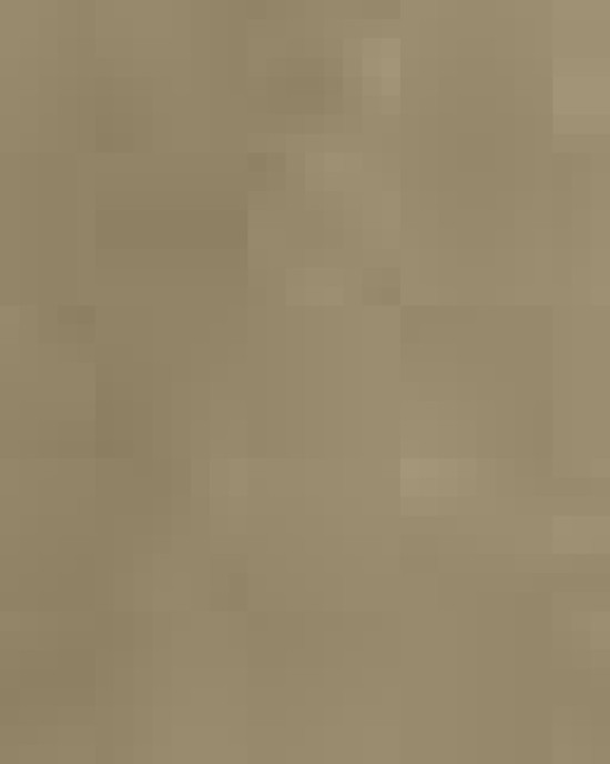 Calibre Heavy Cotton Canvas Pocket Apron