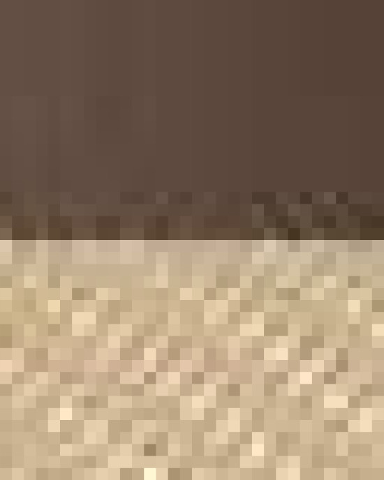 Five-Panel Retro Trucker Cap