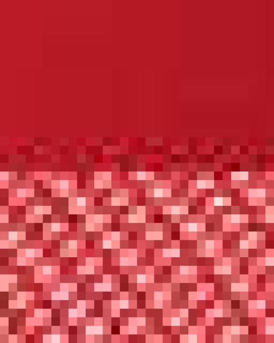 Five-Panel Retro Trucker Cap