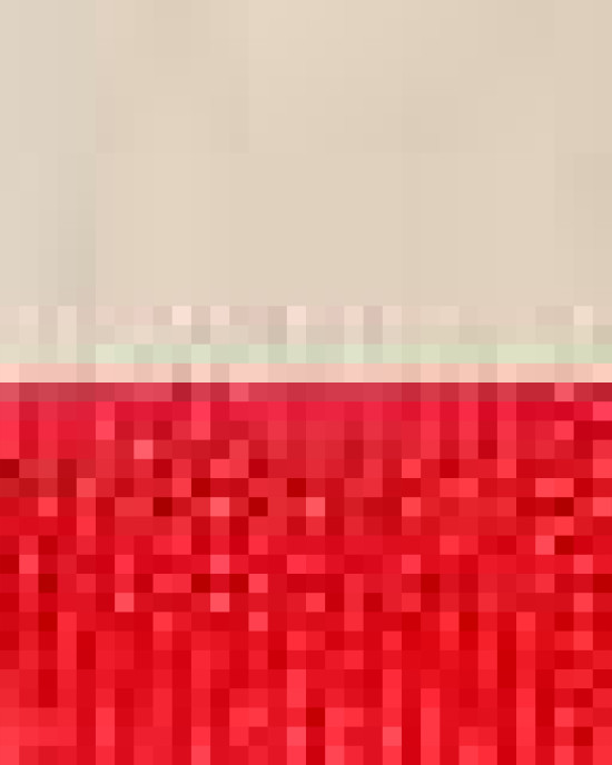 11L Canvas Tote with Contrast-Color Handles