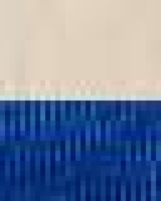 11L Canvas Tote with Contrast-Color Handles