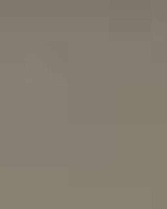 Women’s Cotton T-Shirt