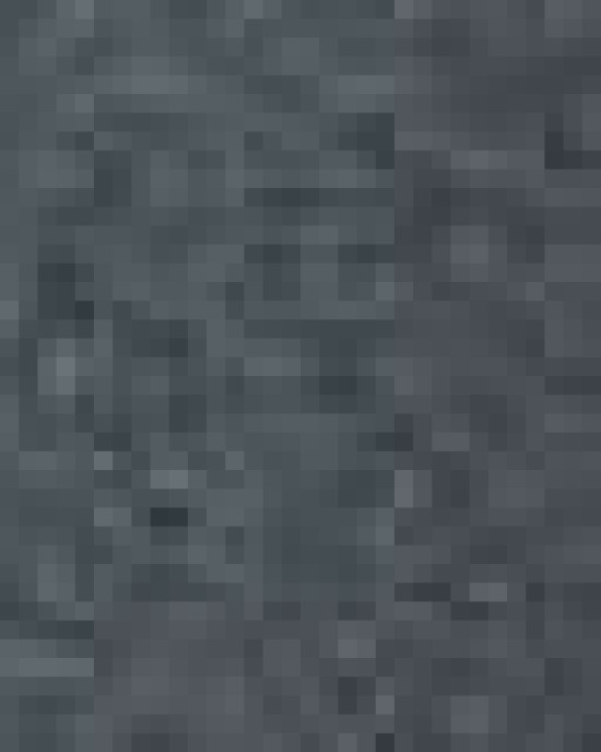 Women's Ultra Cotton® T-Shirt