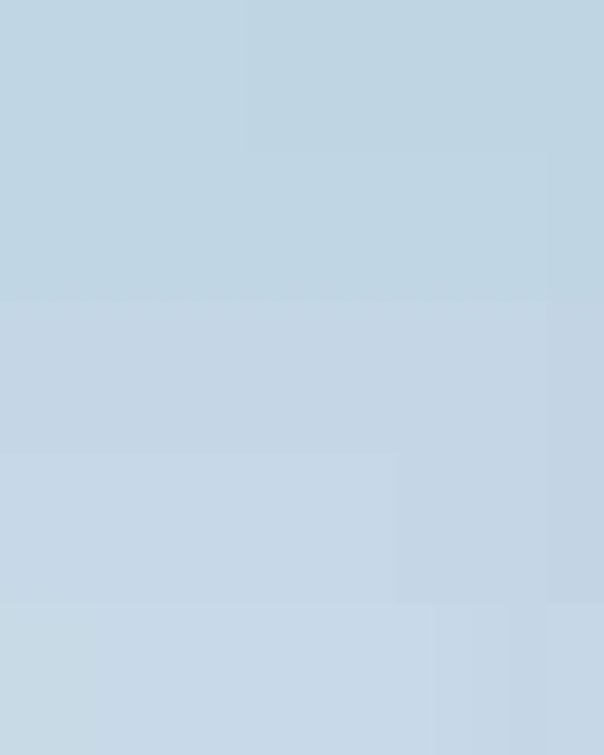 Women's Ultra Cotton® T-Shirt