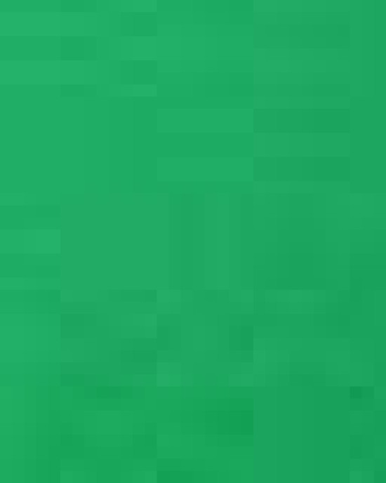 Women’s CVC T-Shirt