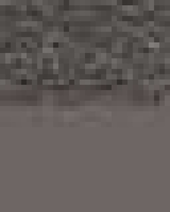 Unisex Softstyle® Lightweight Hooded Long Sleeve T-Shirt