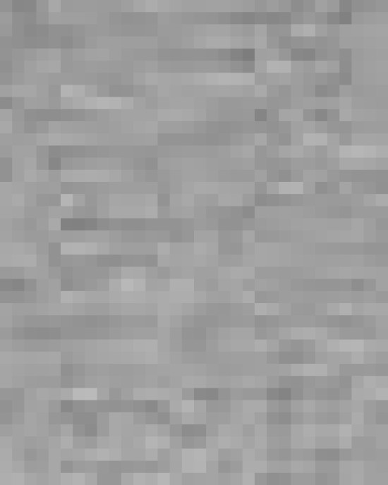 Women's Softstyle® V-Neck T-Shirt