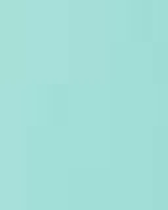 Women's Ideal V-Neck T-Shirt