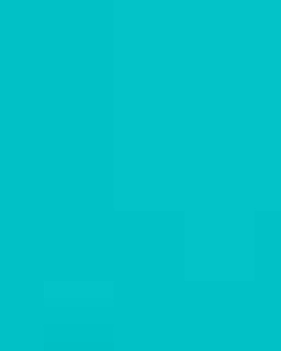 Women's Ideal V-Neck T-Shirt