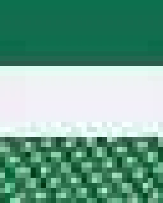 Five-Panel Classic Trucker Cap