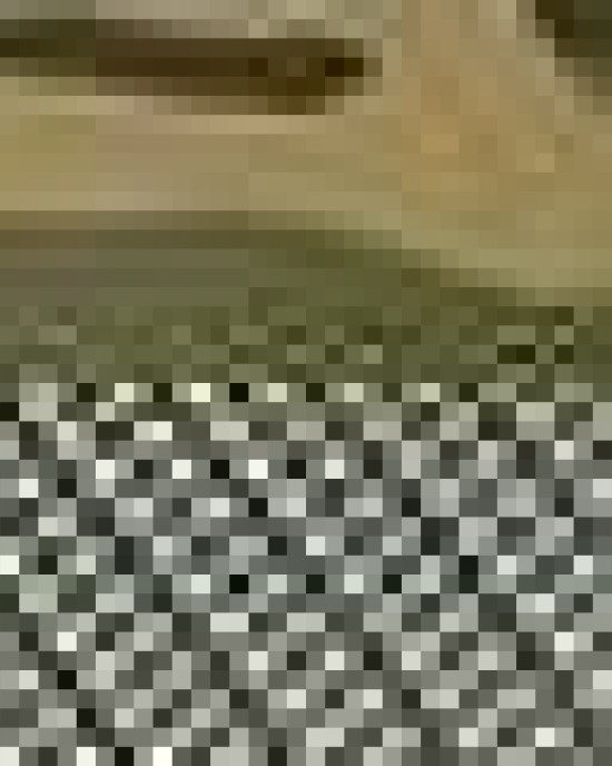 Five-Panel Classic Trucker Cap