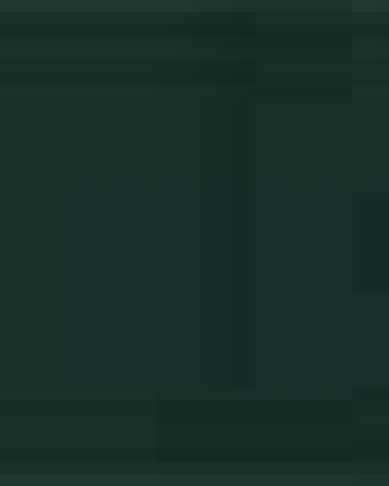 Unisex Packable Anorak Jacket