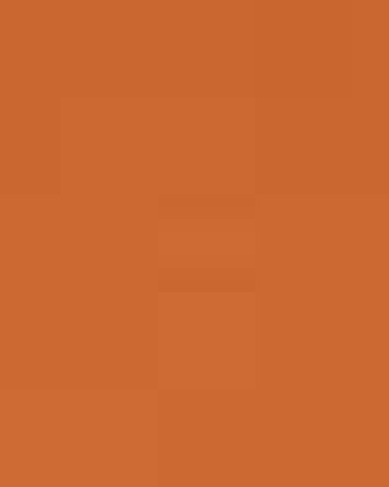 Women's Zone Performance T-Shirt