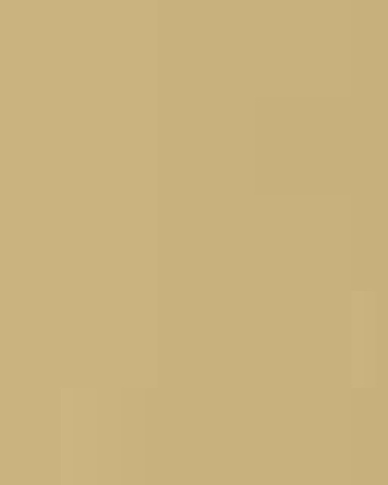 Men's Zone Performance Mesh T-Shirt