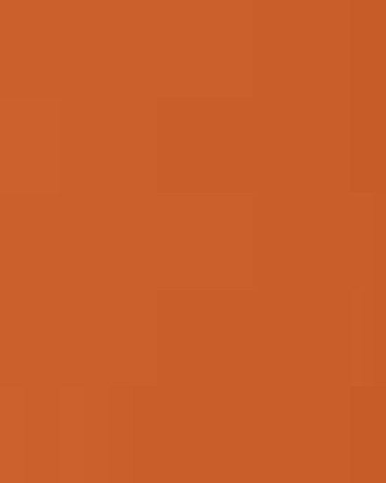 Men's Zone Performance Mesh T-Shirt