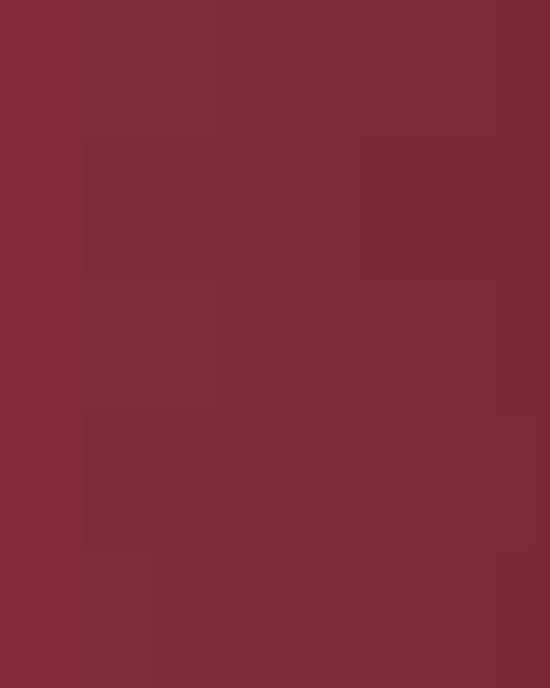 Women's Zone Performance Mesh T-Shirt