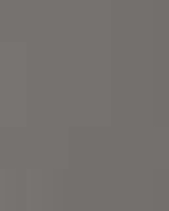 Women's Zone Performance Mesh T-Shirt