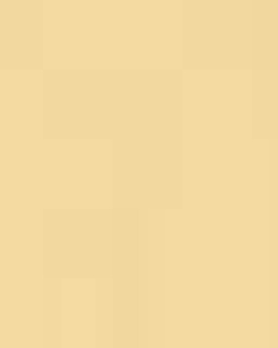 Women's Command Snag Protection Polo