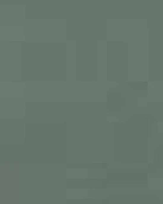 Unisex Garment-Dyed Hooded Sweatshirt