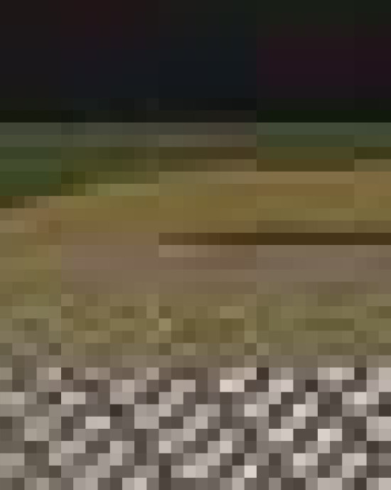 Seven-Panel Trucker Cap