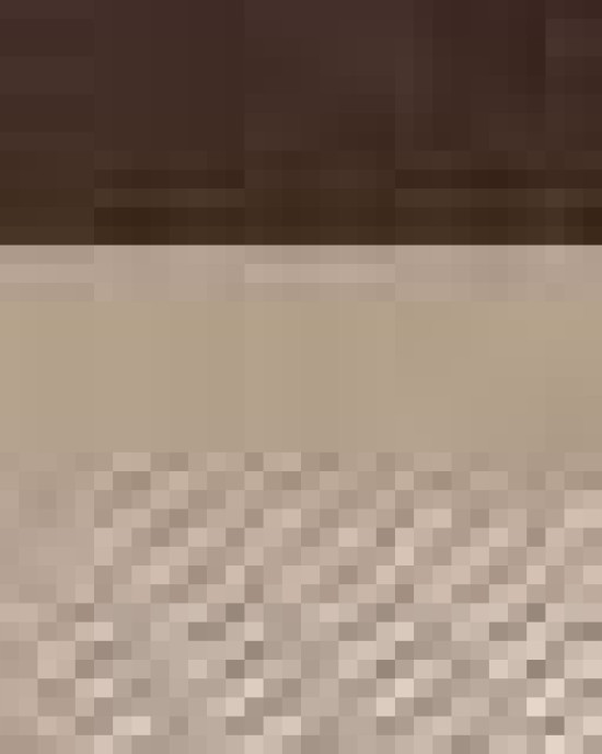 Seven-Panel Trucker Cap