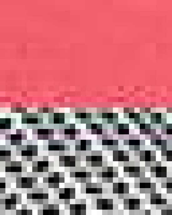 Zone Sonic Heather Trucker Cap