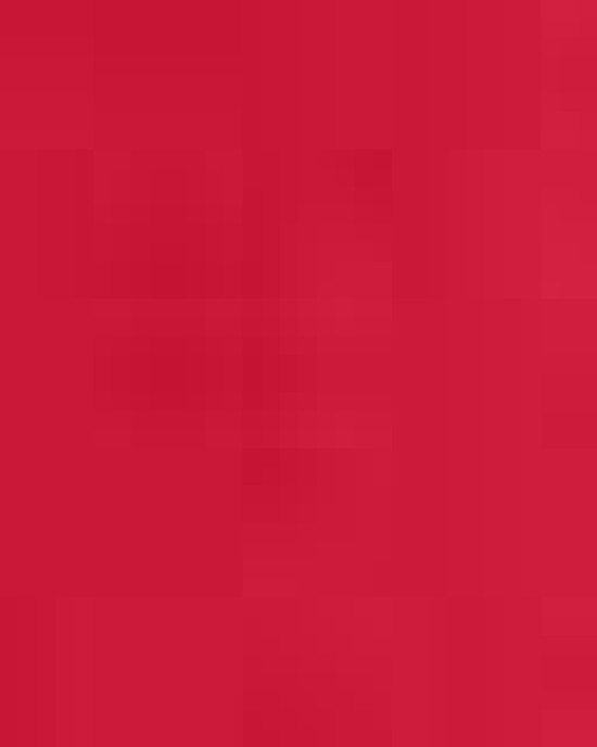 Youth Campus Microfleece Jacket