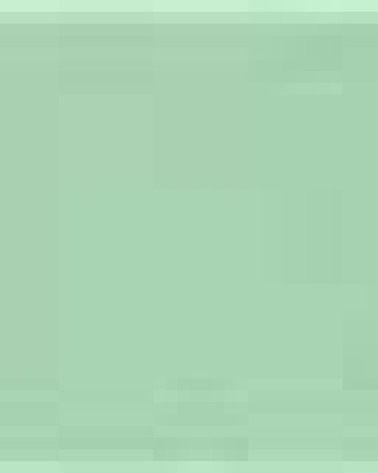 Women’s Slouchy Tee