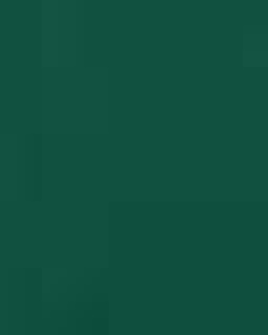 Men's Performance Polo