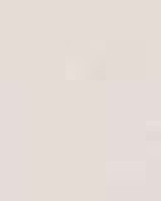 Unisex Special Blend Raglan Crewneck Sweatshirt