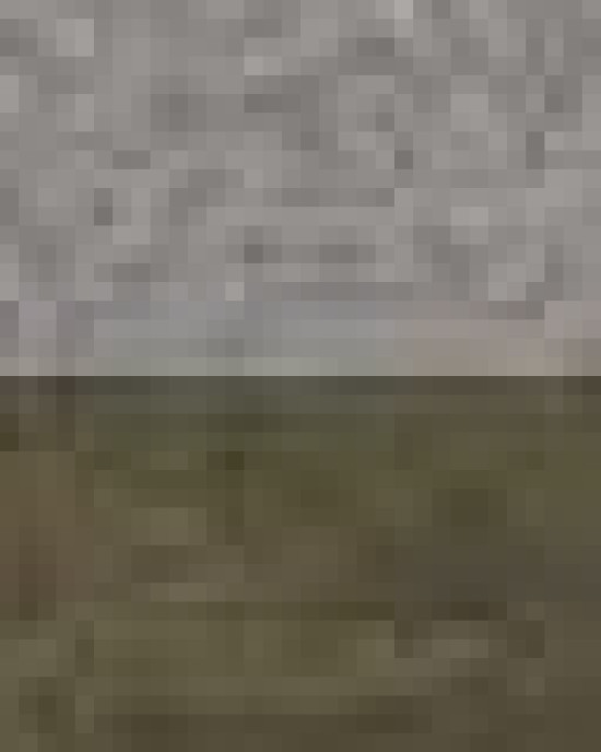 Unisex Special Blend Raglan Crewneck Sweatshirt