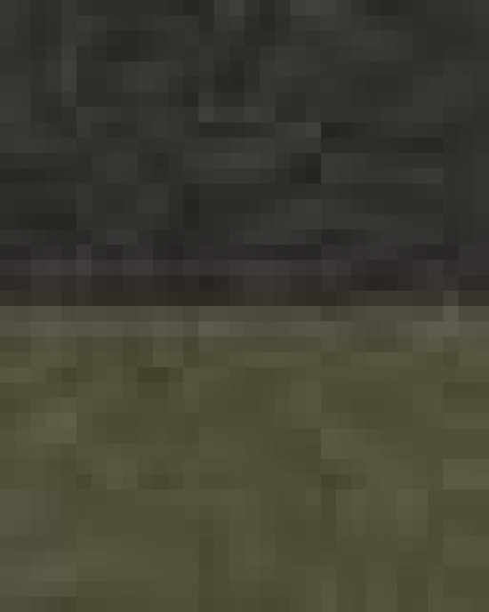 Unisex Raglan Hooded Sweatshirt