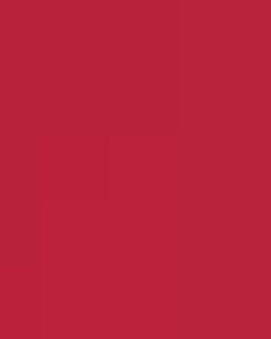 Unisex Midweight Crewneck Sweatshirt