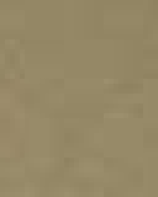 Unisex Sponge Fleece Raglan Crewneck Sweatshirt