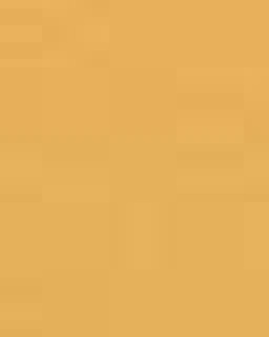 Unisex Sponge Fleece Raglan Crewneck Sweatshirt