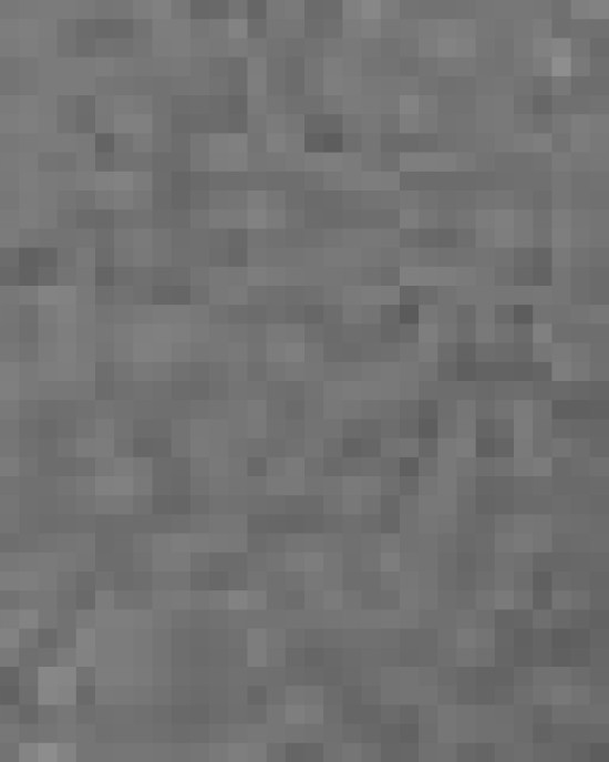 Unisex Sponge Fleece Raglan Crewneck Sweatshirt