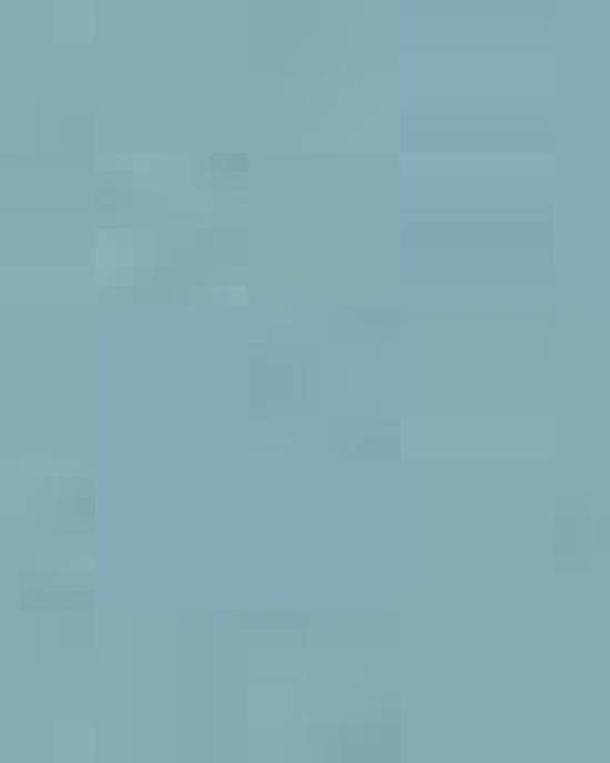 Unisex Sponge Fleece Hoodie Sweatshirt